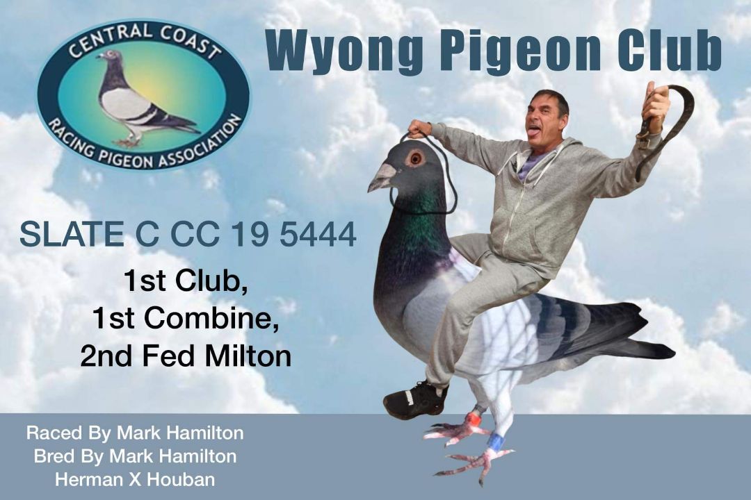 Central Coast Racing Pigeon Federation 2022